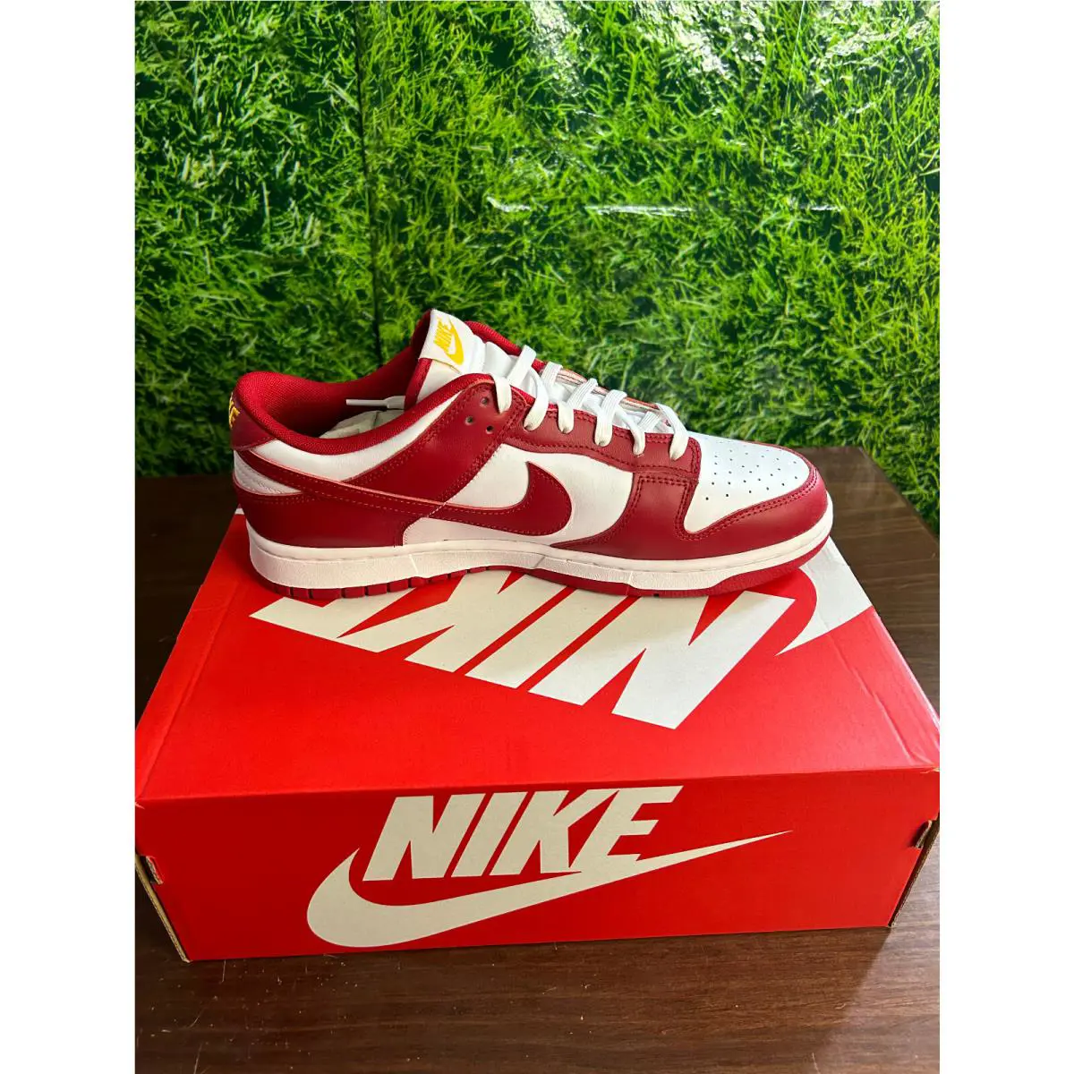 Nike shoes - Nike Dunk Retro Low - Dunk Retro Low - Red 1