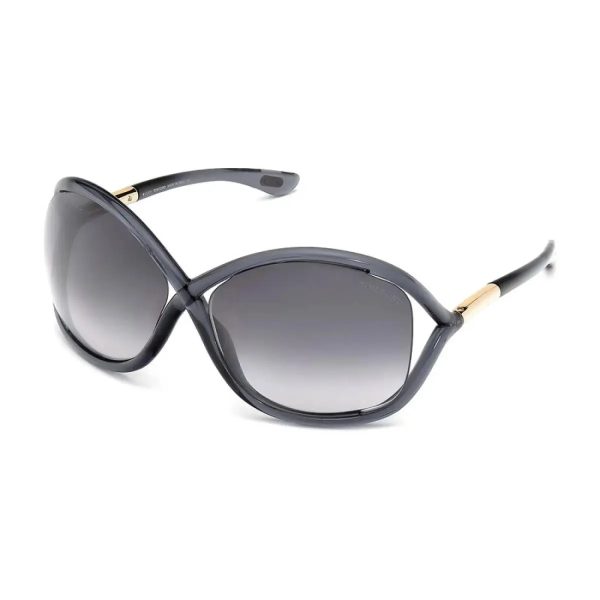 Tom Ford FT0009 0B5 Transparent Grey/gradient Smoke Sunglasses