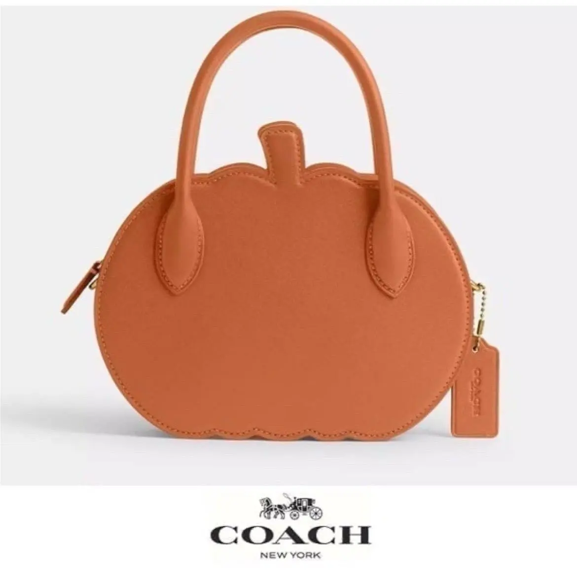 Coach Rowan Satchel Leather C3428 Colorblock Oxblood Wine