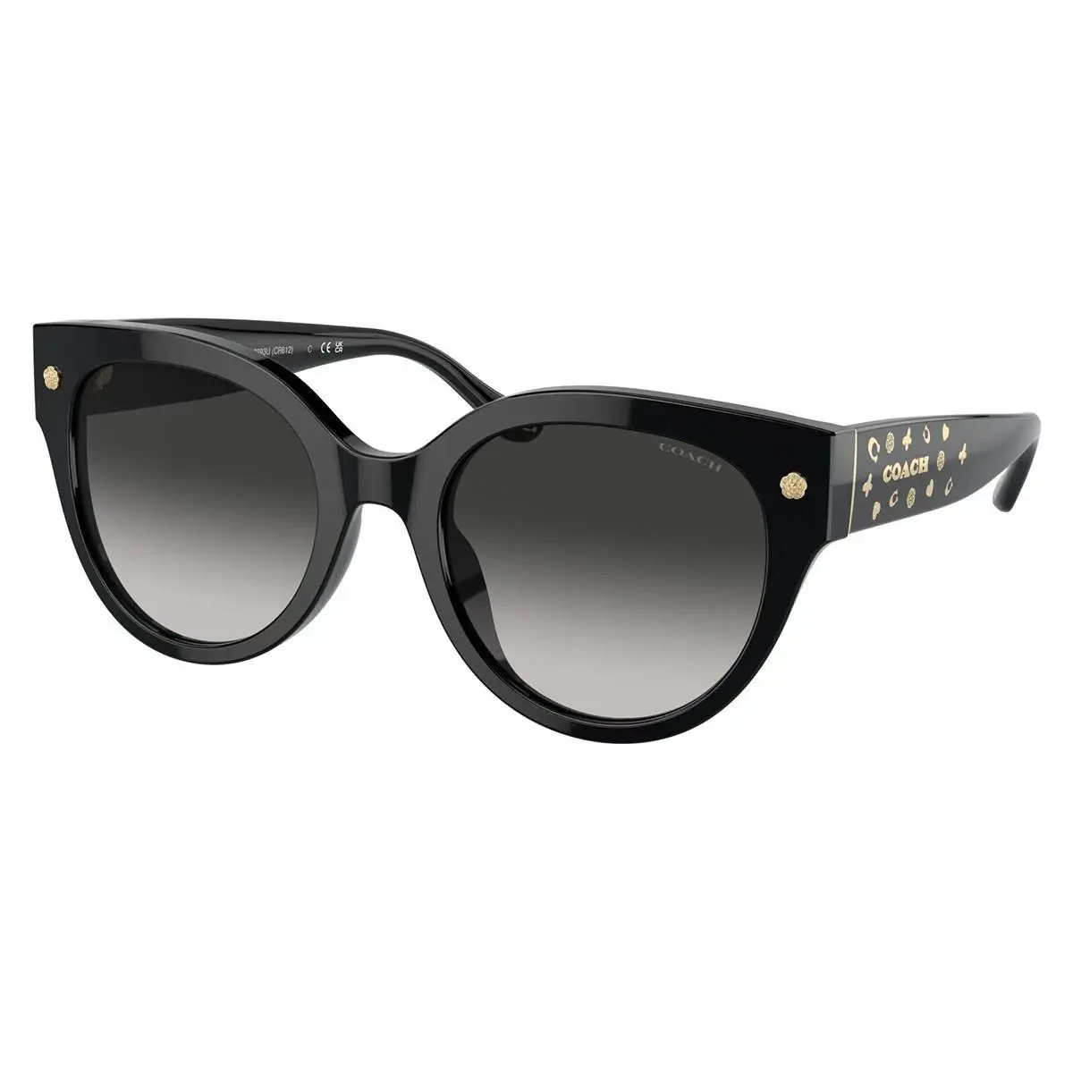 Coach HC8393U 50023C 53mm Sunglasses Coach Black Rim Black Tea Rose Ladies/new