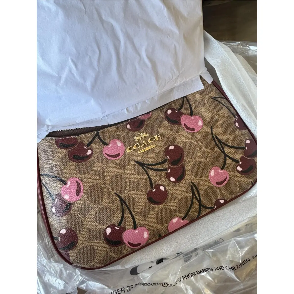 Coach Teri Shoulder Bag In Signature Canvas with Cherry Print CY694 Cherry