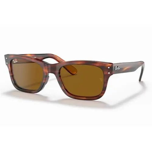 Ray Ban Burbank RB2283 954/33 52-20 Striped Havana B-15 Brown