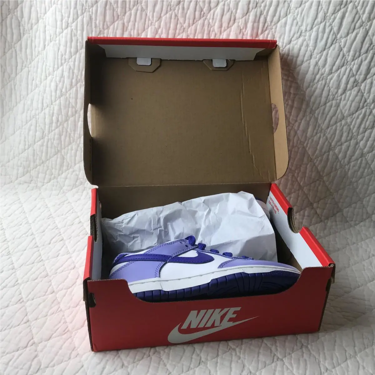 Nike shoes - Nike Dunk (PS) - Dunk - CW1588-103 - White/Lapis-Light Thistle 9