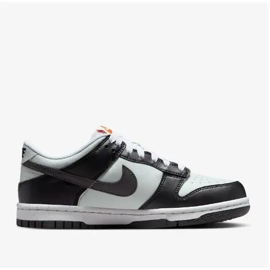 Nike shoes - Nike Dunk Low GS - Dunk Low - BLACK/MEDIUM ASH-LIGHT SILVER 1