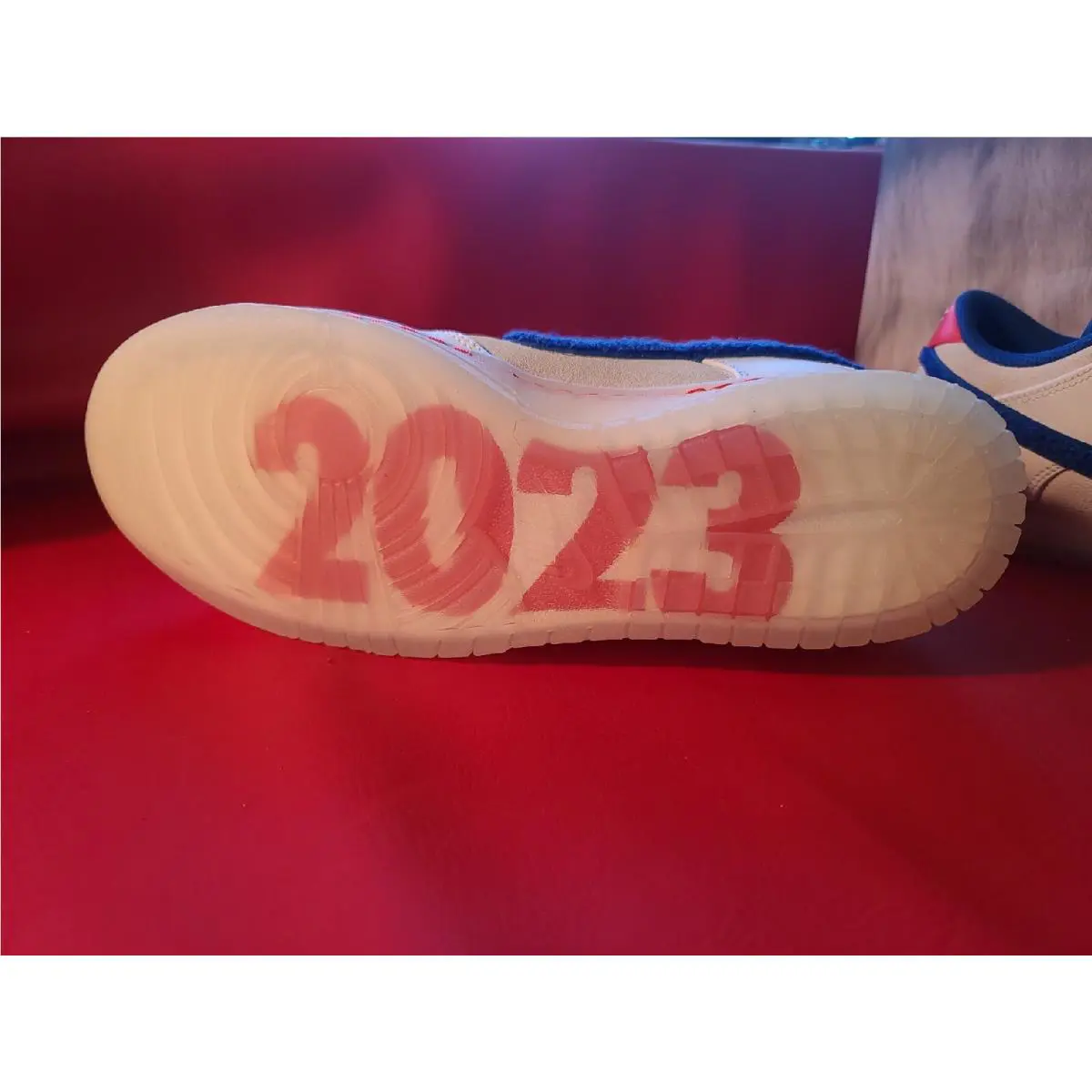Nike shoes - Nike Dunk Low - Dunk Low - FD4203-161 - Multicolor 10