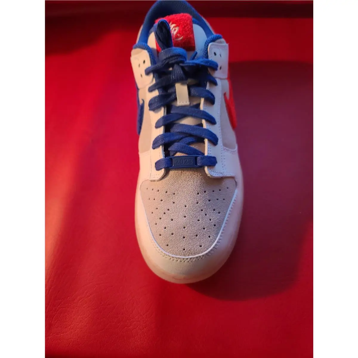 Nike shoes - Nike Dunk Low - Dunk Low - FD4203-161 - Multicolor 12