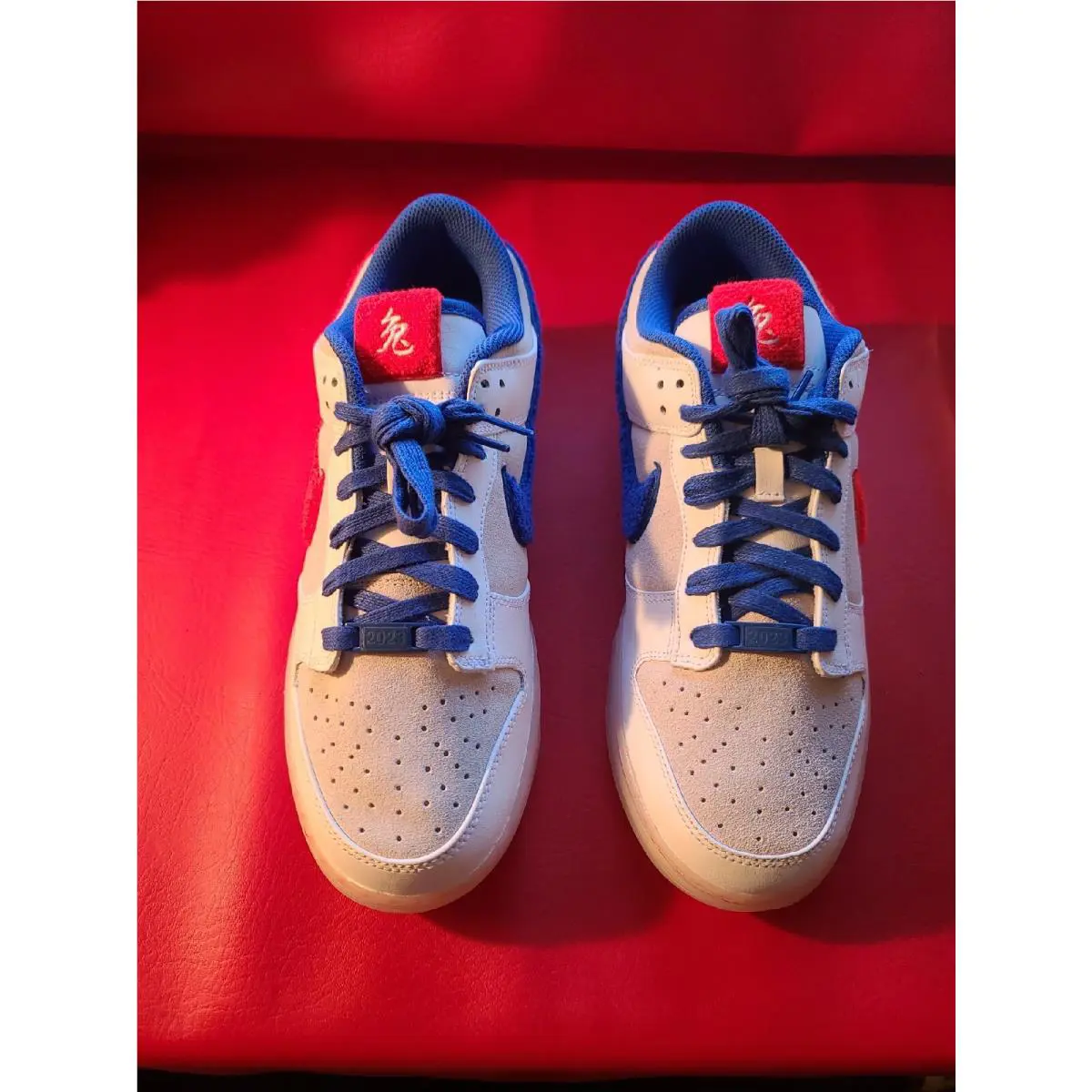 Nike shoes - Nike Dunk Low - Dunk Low - FD4203-161 - Multicolor 0