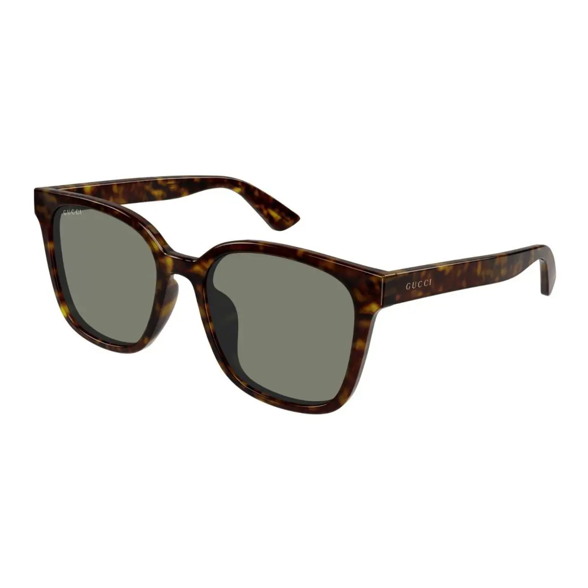 GG1346SK Havana/green 003 Sunglasses by Gucci