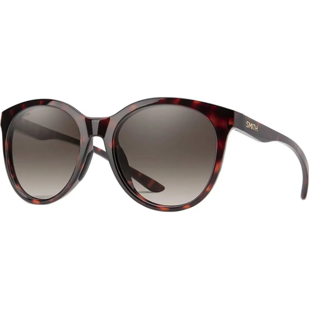 Smith Optics Adult Bayside Chromapop Polarized Tort/brown Gradient OS Sunglasses