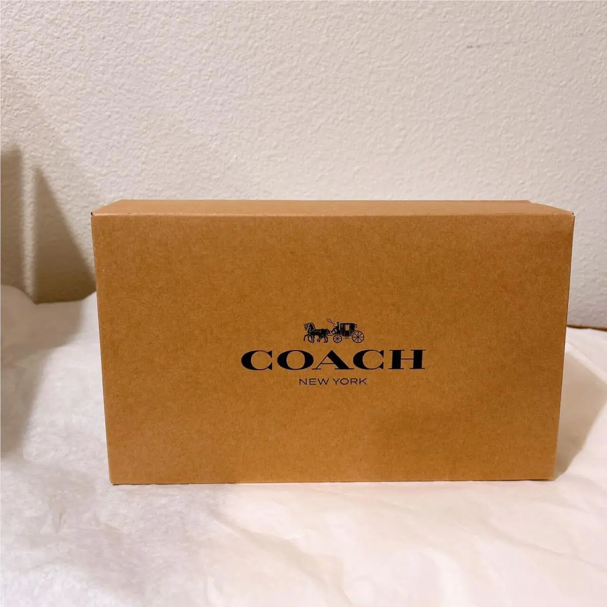 Coach Nolita 19 In Signature Canvas with Rose Print CL676