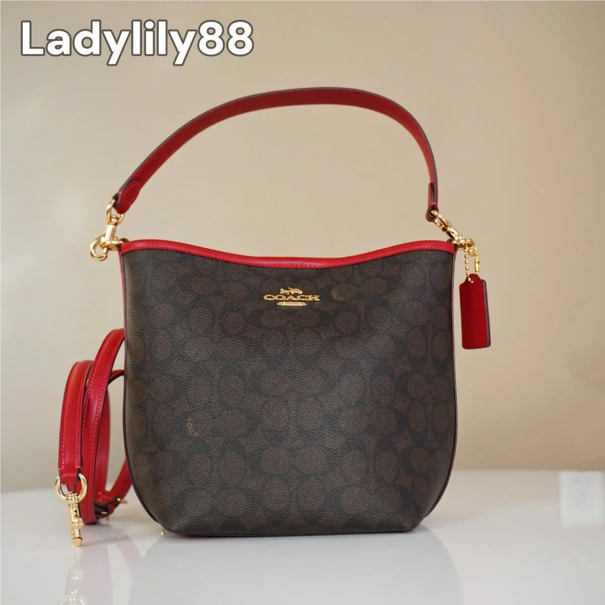 CT800 CAL85 CT801 City Bucket Bag Leather Color Option CT800 Gold/Walnut/Bold Red by Coach