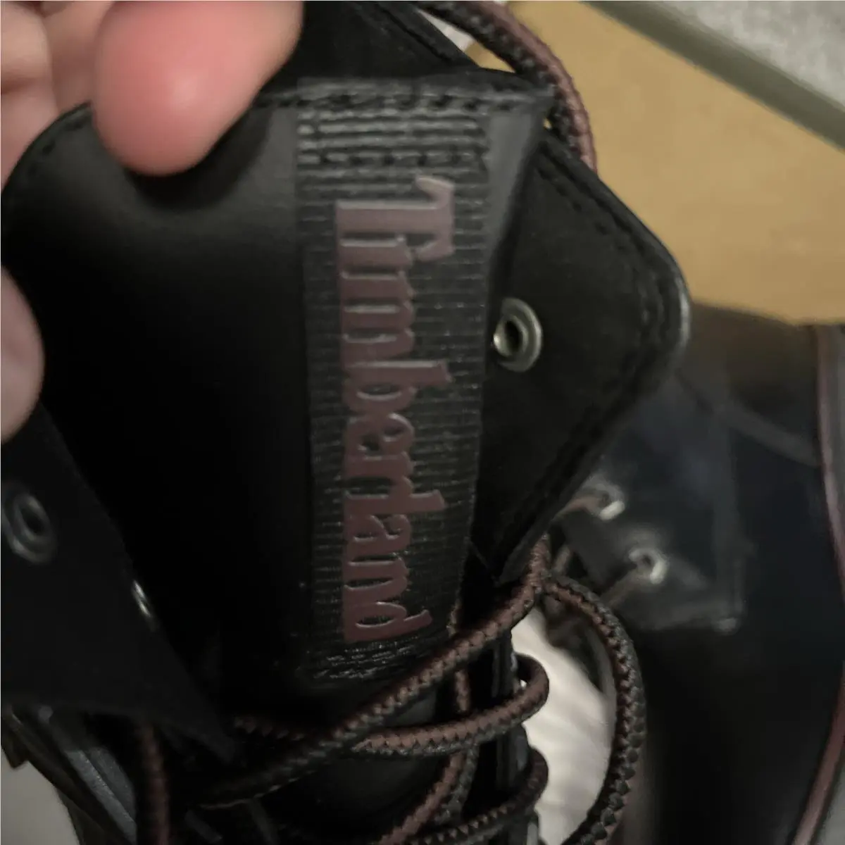 Timberland shoes - Timberland Malynn EK - Malynn - Black (UPC: 0194113624854) 2