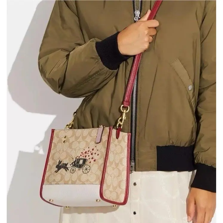 Coach Lunar Year Dempsey Tote Bag 22 with Rabbit and Cairrage