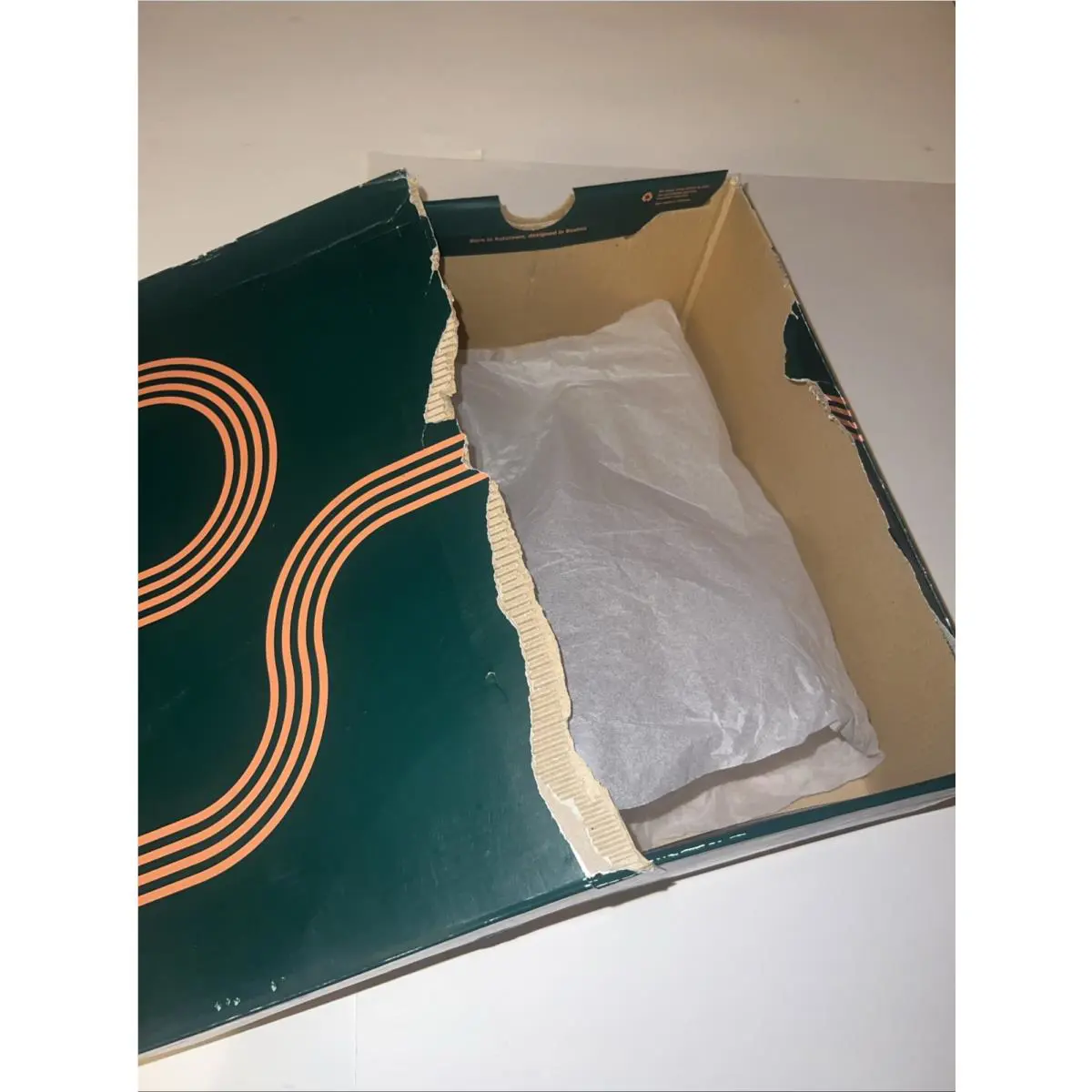 Saucony shoes - Saucony Triumph 20 - Triumph - S20759-17 - Green (UPC: 0195019099746) 4