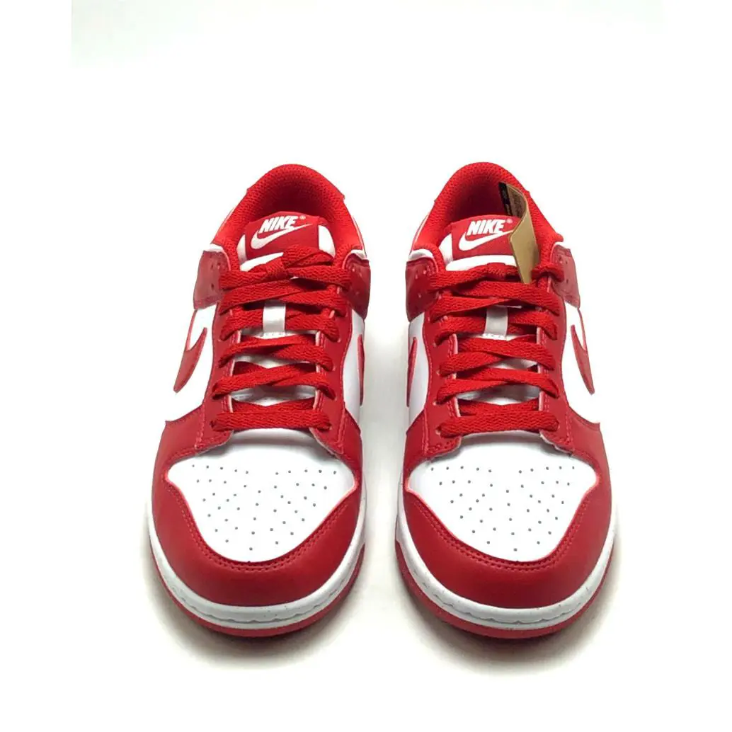 Nike shoes - Nike Dunk Low - Dunk Low - DD1873-116 - Red 3