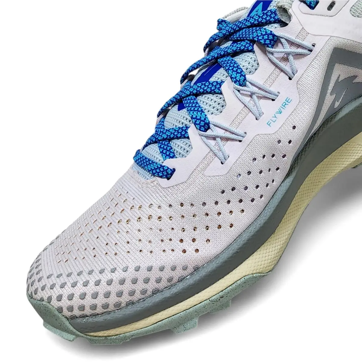 Nike shoes - Nike Pegasus Trail - Pegasus Trail - DJ6159-600 - Pink 42