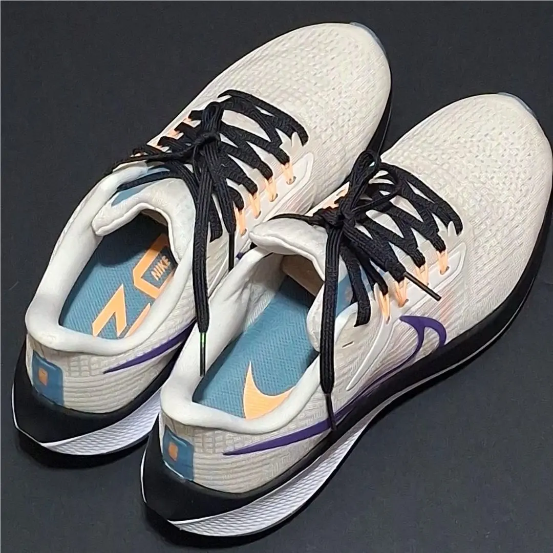 Nike shoes - Nike Air Zoom Pegasus - Air Zoom Pegasus - DH4072-006 - Multicolor 1
