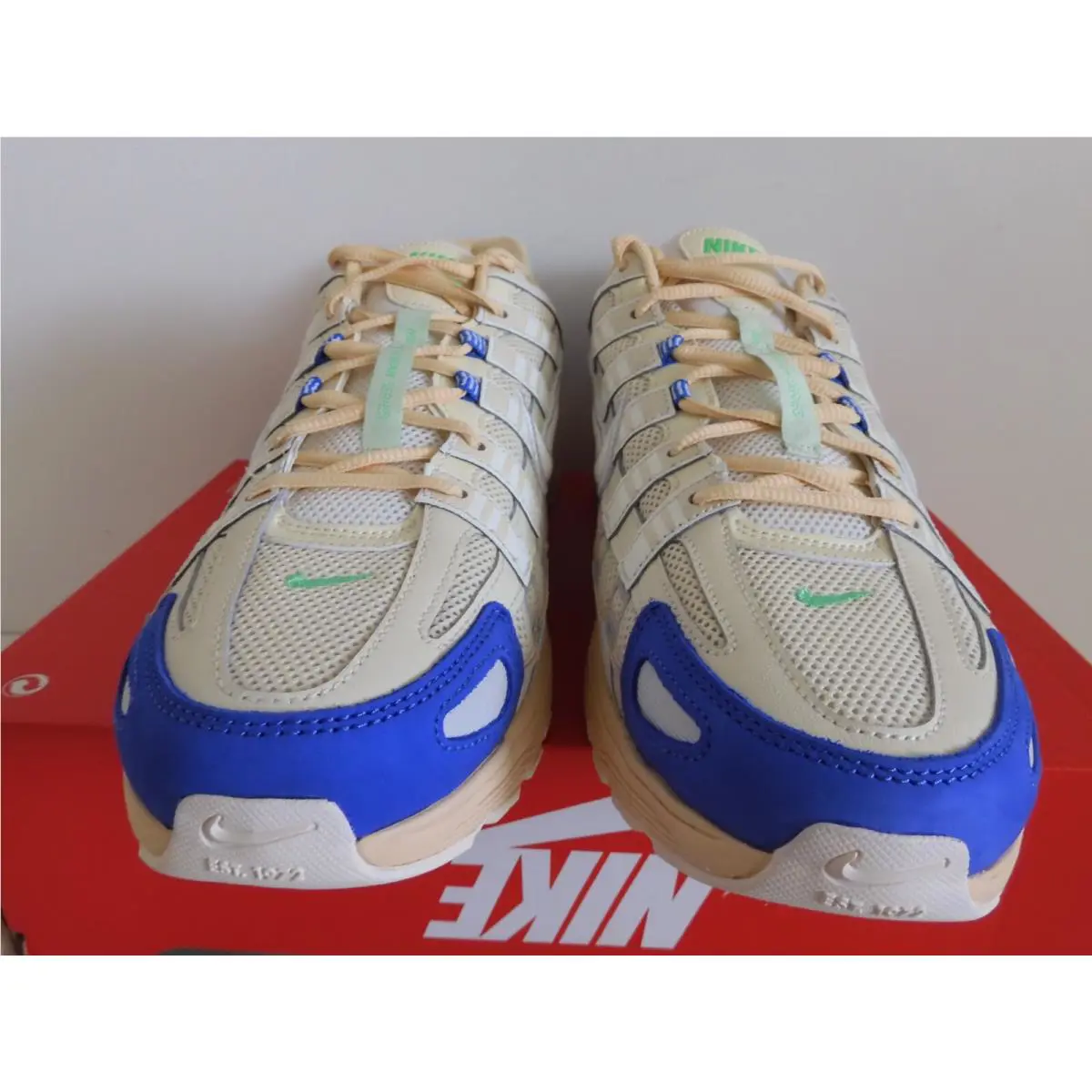 Nike shoes - Nike P-6000 - FJ5443-113 - Brown (UPC: 196605790412) 1