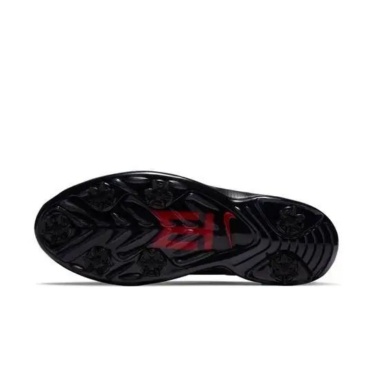 Nike shoes - Nike Air Zoom Tiger Woods - CI4510-001 - Black 4