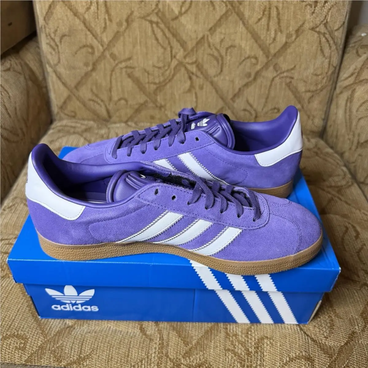 Adidas shoes - adidas Gazelle - Gazelle - JS3041 - Purple 0