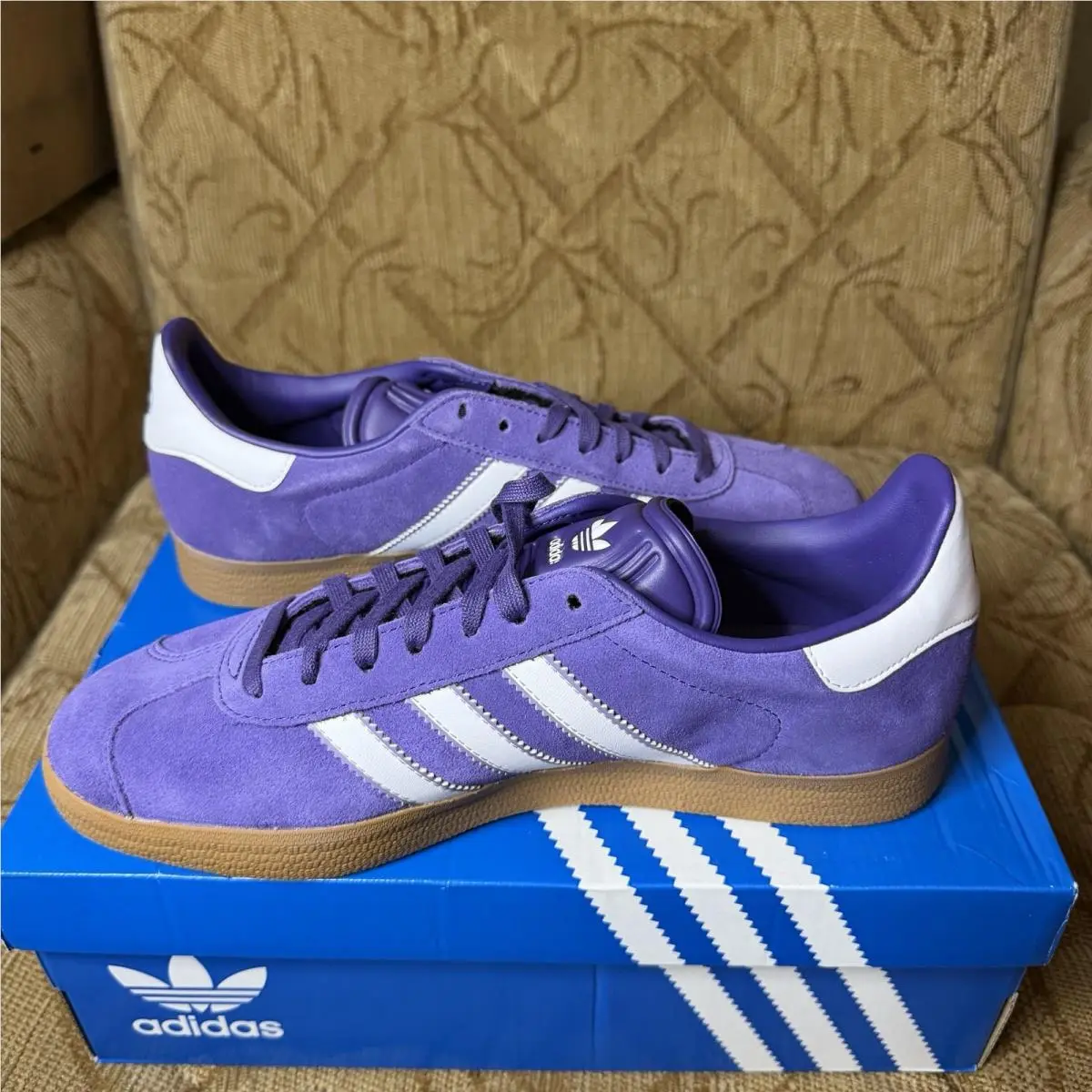 Adidas shoes - adidas Gazelle - Gazelle - JS3041 - Purple 1