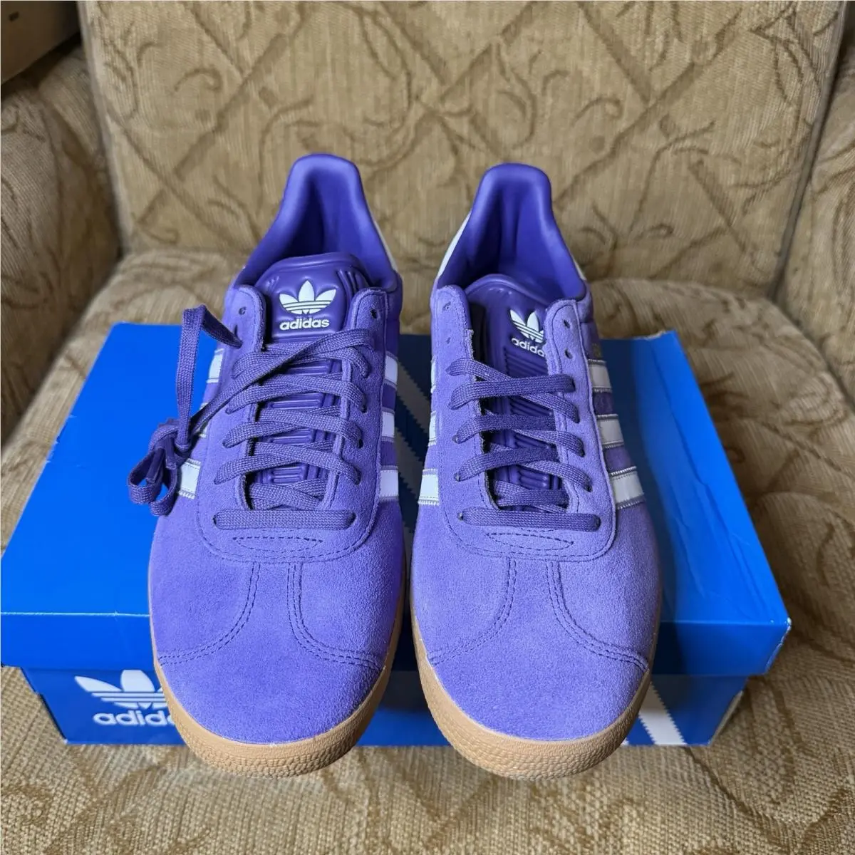 Adidas shoes - adidas Gazelle - Gazelle - JS3041 - Purple 2