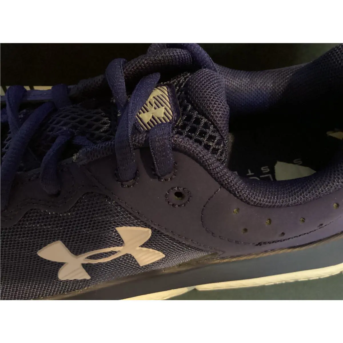 Under Armour shoes - Under Armour Charged Assert 10 - 9604060984 - Blue 0