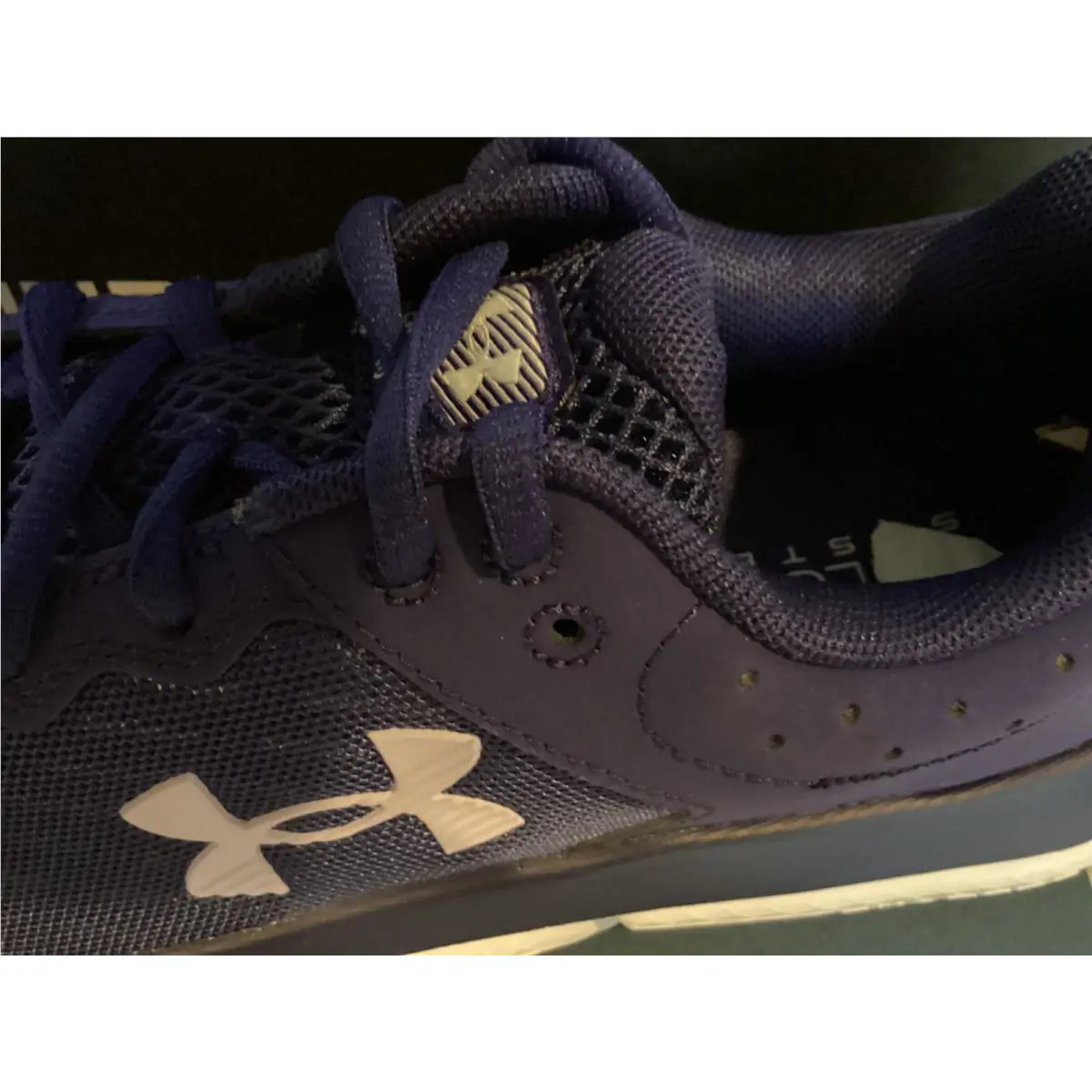 Under Armour shoes - Under Armour Charged Assert 10 - 9604060984 - Blue 1