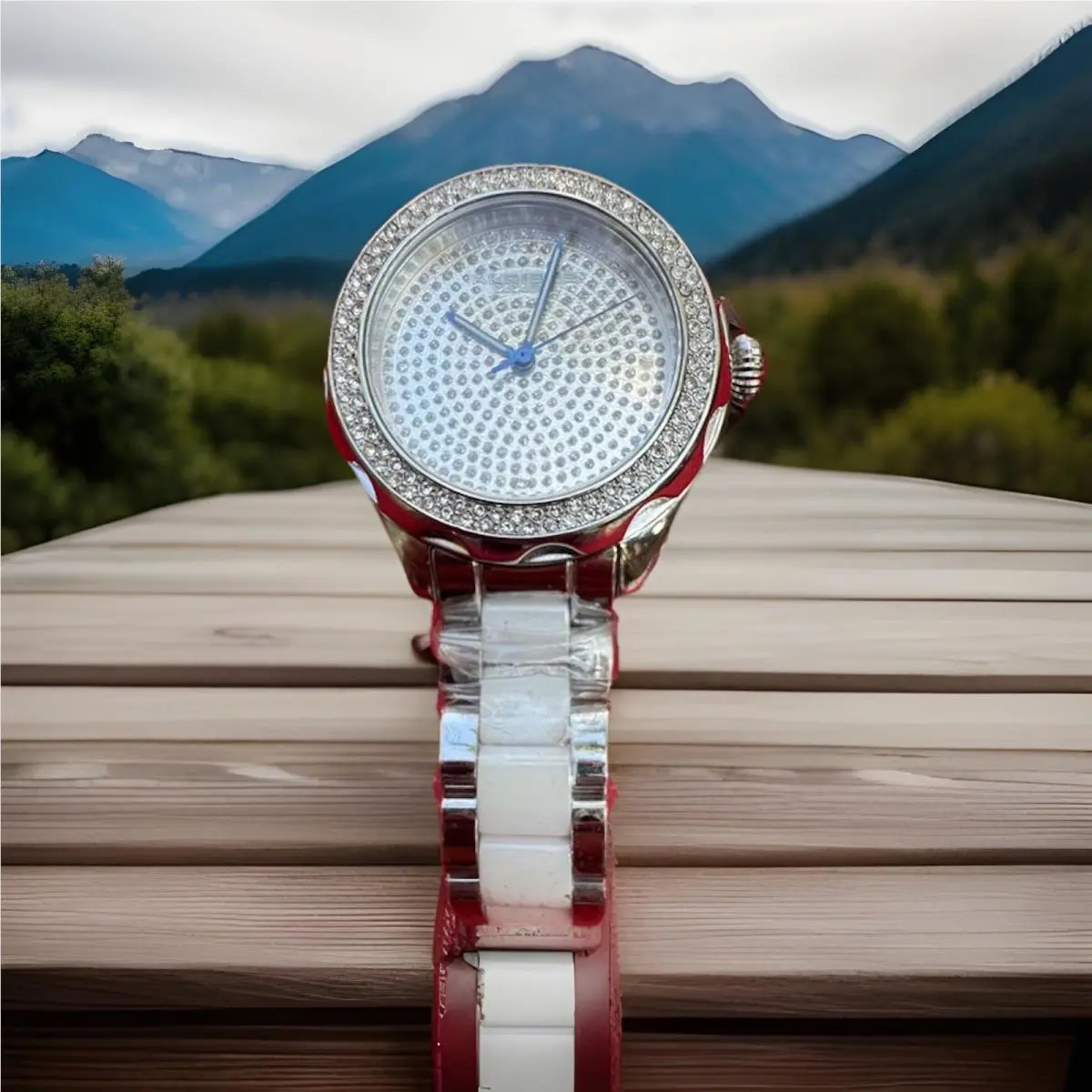 Akribos Xxiv Women`s Diamond Accent Watch