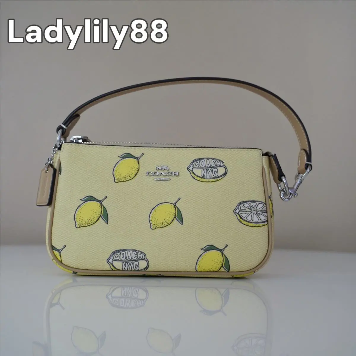 Coach CAL25 CAL26 CAL27 Nolita 19 with Strawberry/lemon/orange Print Option