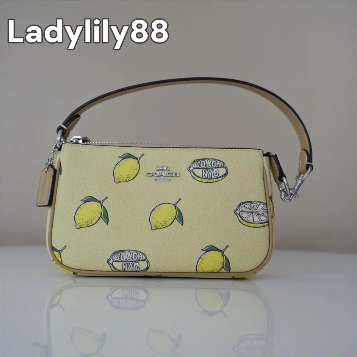 CAL25 CAL26 CAL27 Nolita 19 with Strawberry/lemon/orange Print Option CAL26 Sv/Garden Glade Multi by Coach