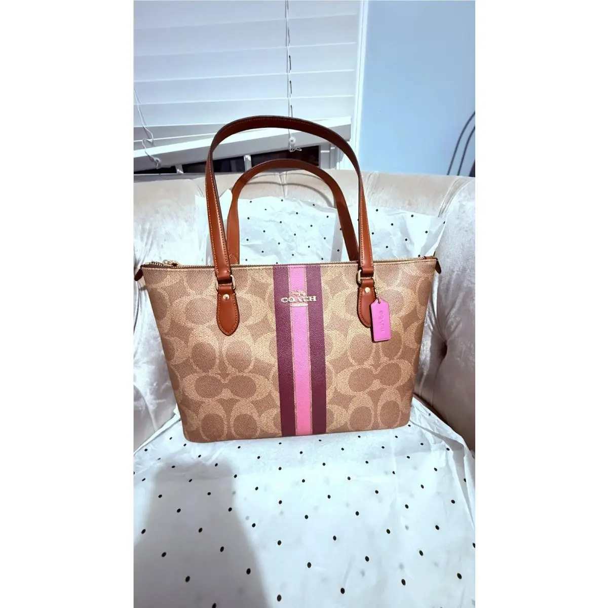 Coach Gallery Tote Bag Signature Canvas Stripe Print CBM18 Bag Handbag Brown