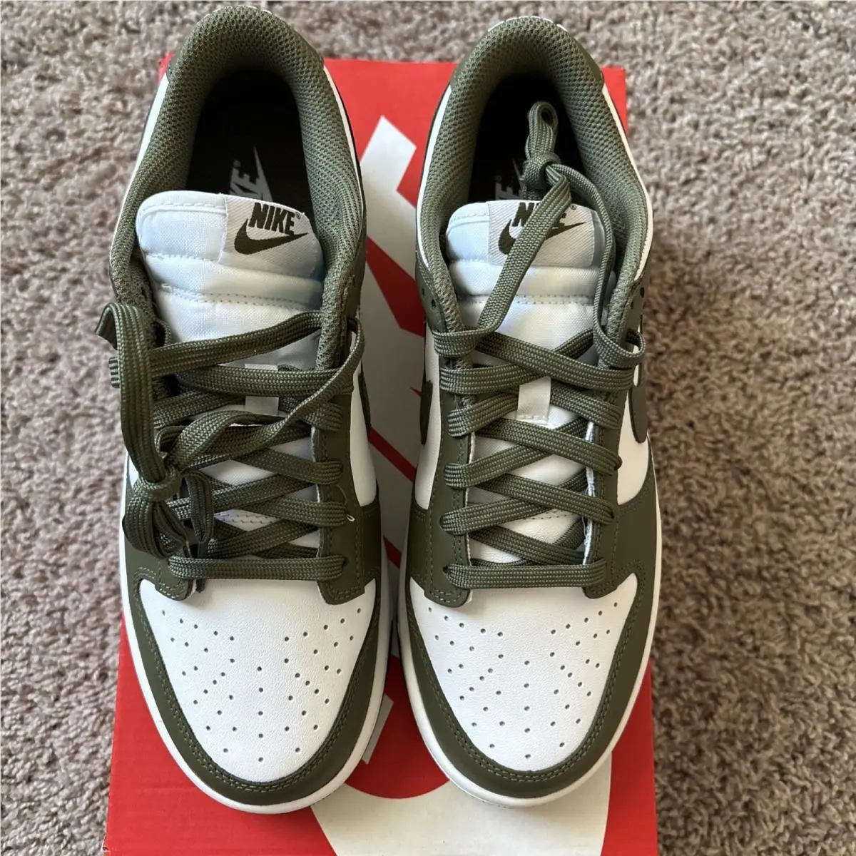 Nike shoes - Nike Dunk Low - Dunk Low - DD1503-120 - Green 1