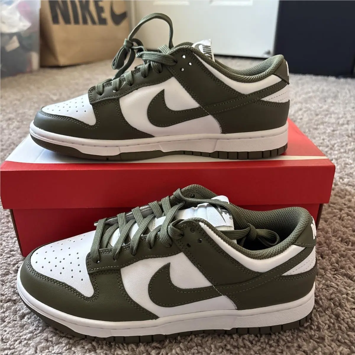 Nike shoes - Nike Dunk Low - Dunk Low - DD1503-120 - Green 3