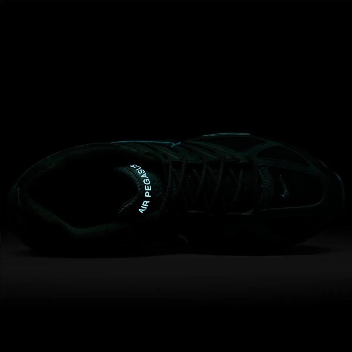 Nike shoes - Nike Air Pegasus 2005 - Air Pegasus - FQ8713-200 - Fir/Bicoastal/Dusty Cactus/Fir (UPC: 197600804357) 8