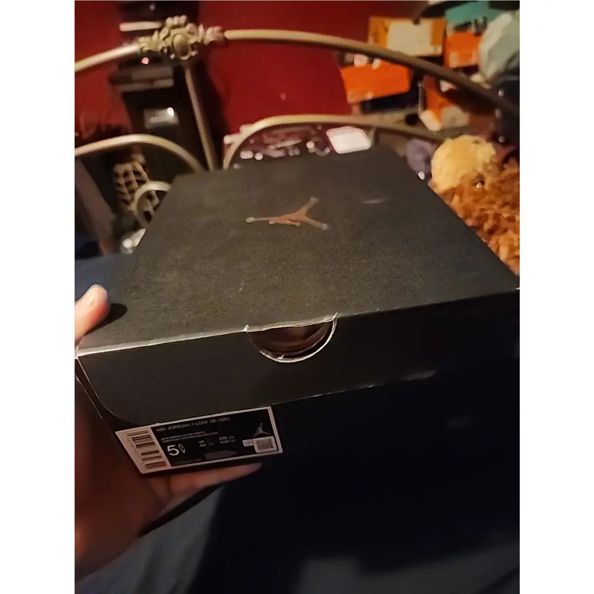 Nike shoes - Nike Air Jordan 1 - Air - DO8244301 - White 0