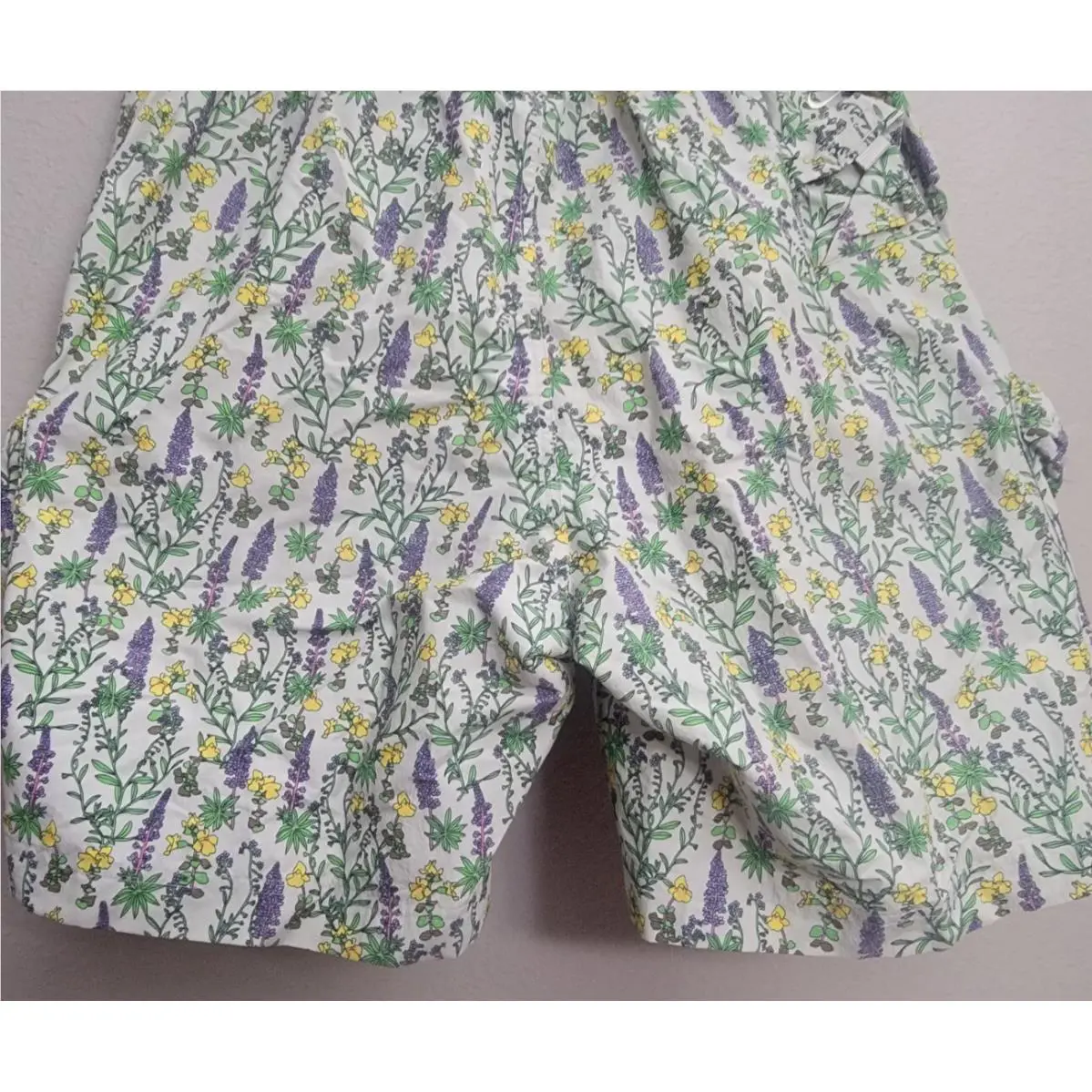 Nike clothing - Nike ACG Snowgrass Cargo Shorts - DN3947-072 - Light Bone (UPC: 195868533675) 4