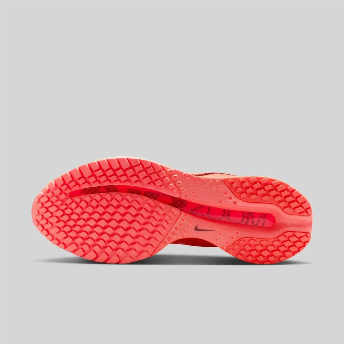 Nike shoes - Nike Air Zoom Pegasus 41 - HQ2592-301 - Orange 1