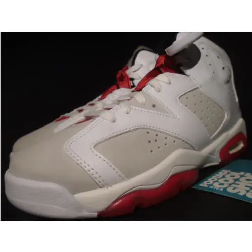 Nike shoes - Nike Air Jordan 6 Retro - 384665-062 - Gray 3