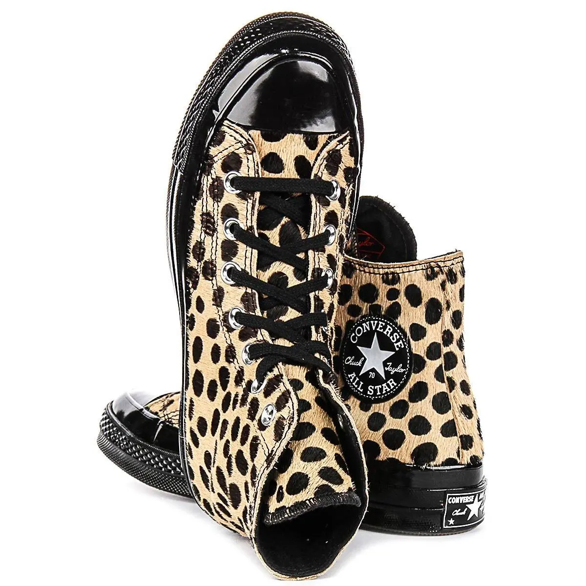 Converse shoes - Leopard 2
