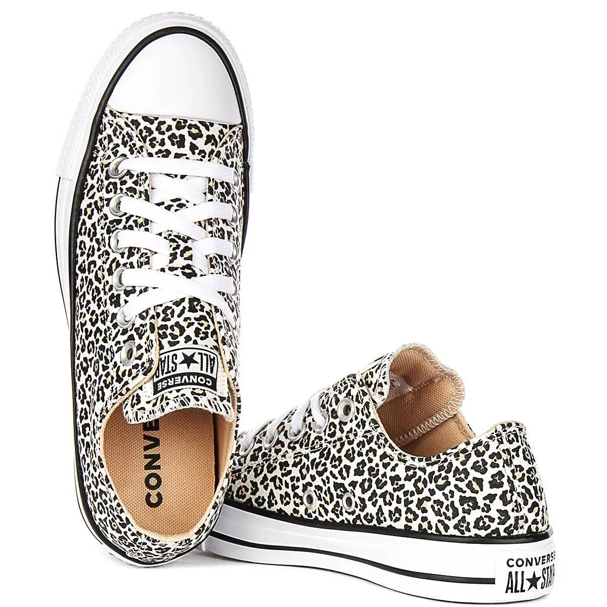 Converse shoes - Leopard 2