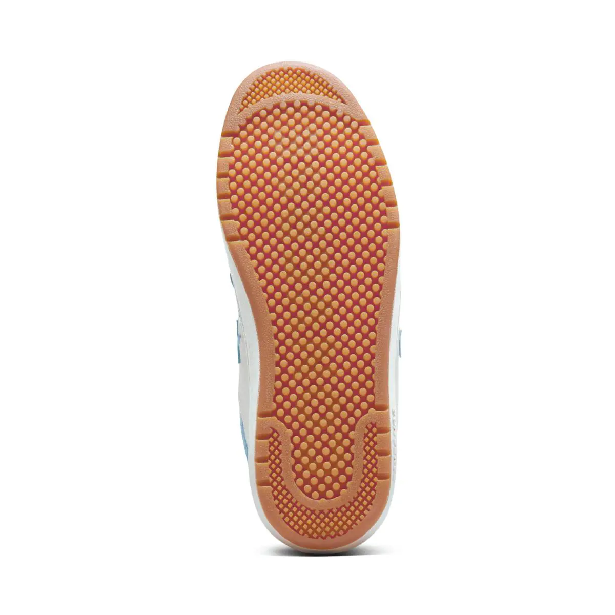 Converse shoes - Converse Pro Blaze OX - Pro Blaze - A14245C - Egret/BlueSky 0