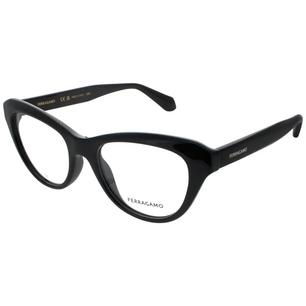 Salvatore Ferragamo SF2989E-001-51 Eyeglasses Eye Glasses 001 Black Ne
