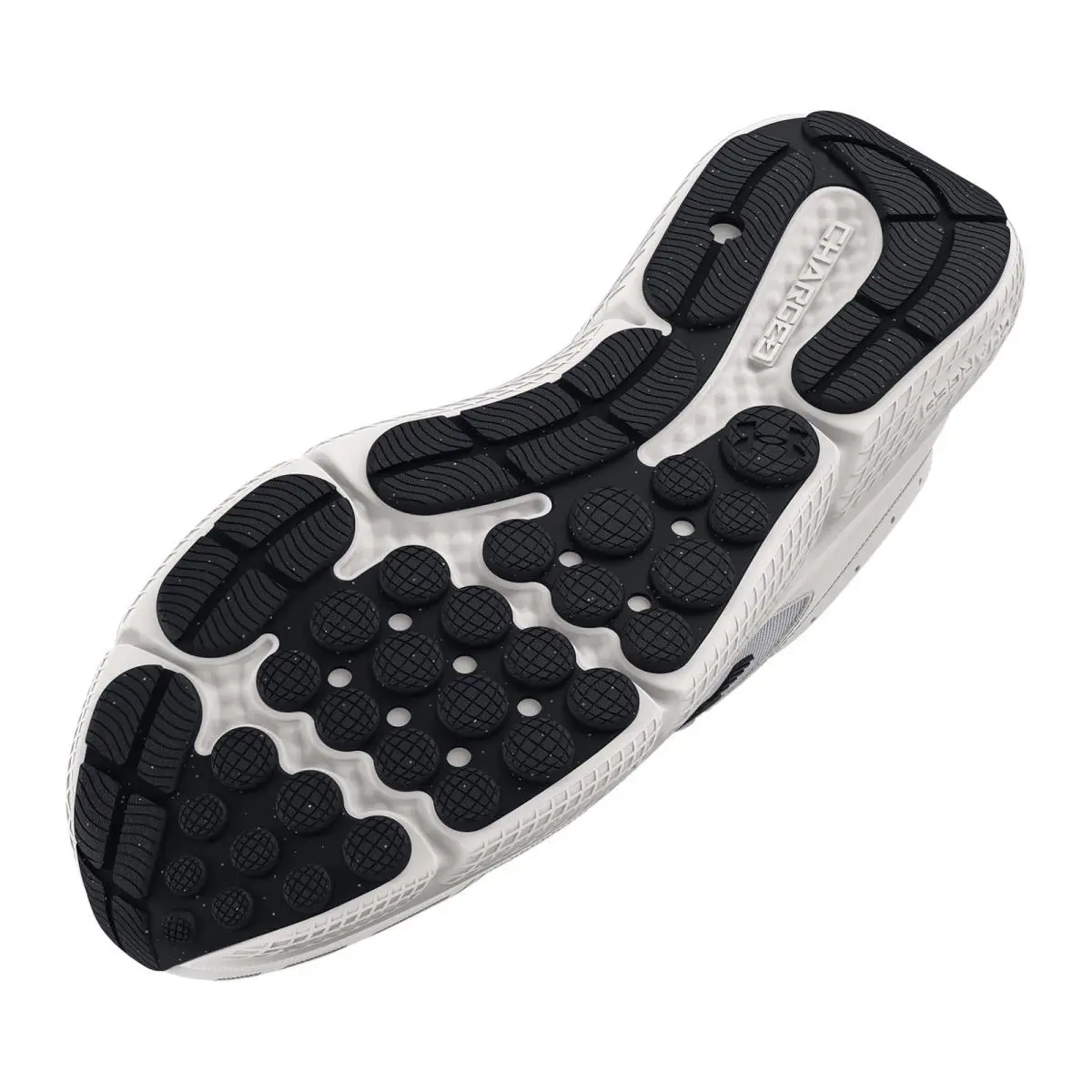 Under Armour shoes - Under Armour Charged Assert 10 - 3026179-104 - White 1