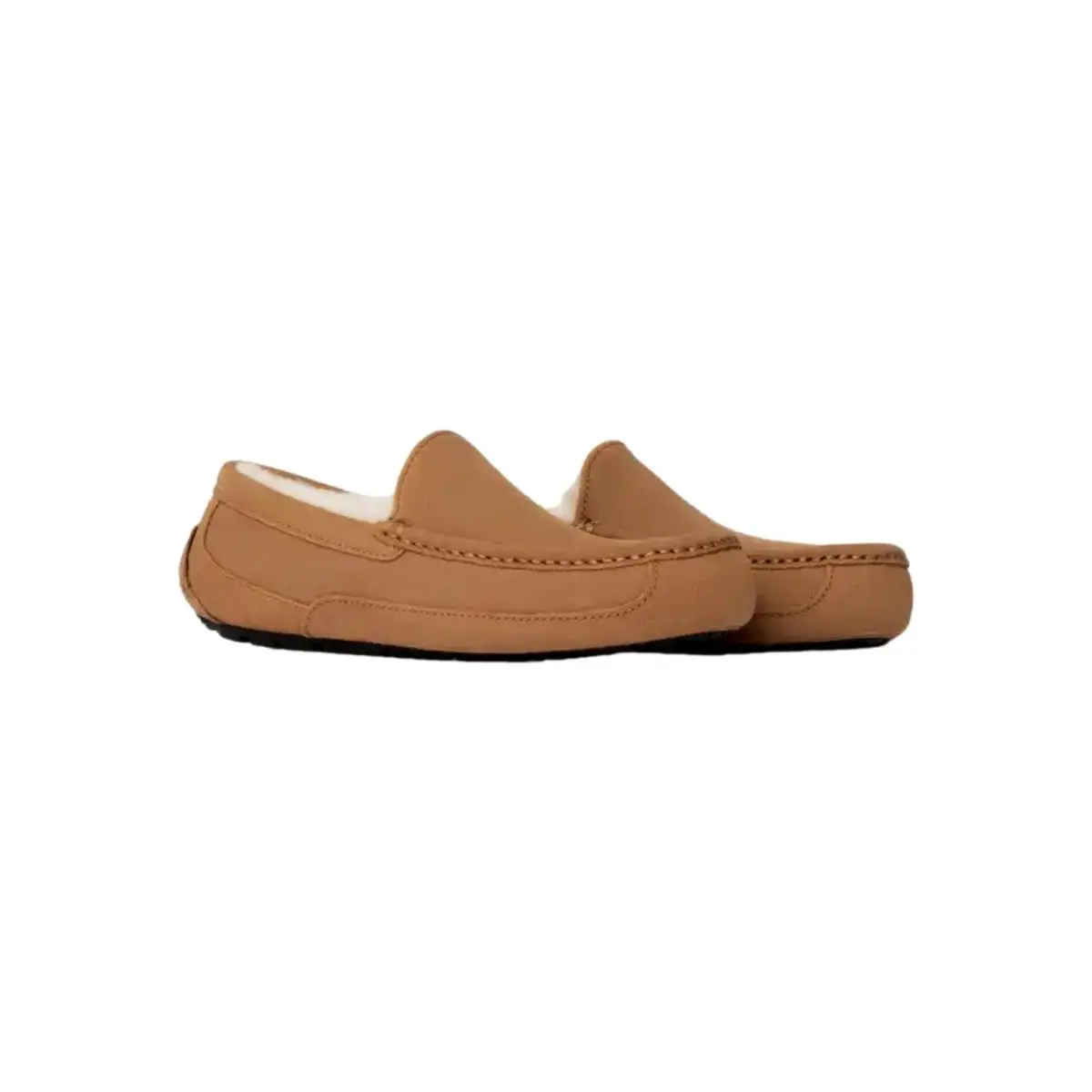 UGG shoes - Ascot - Ascot - Multicolor 0