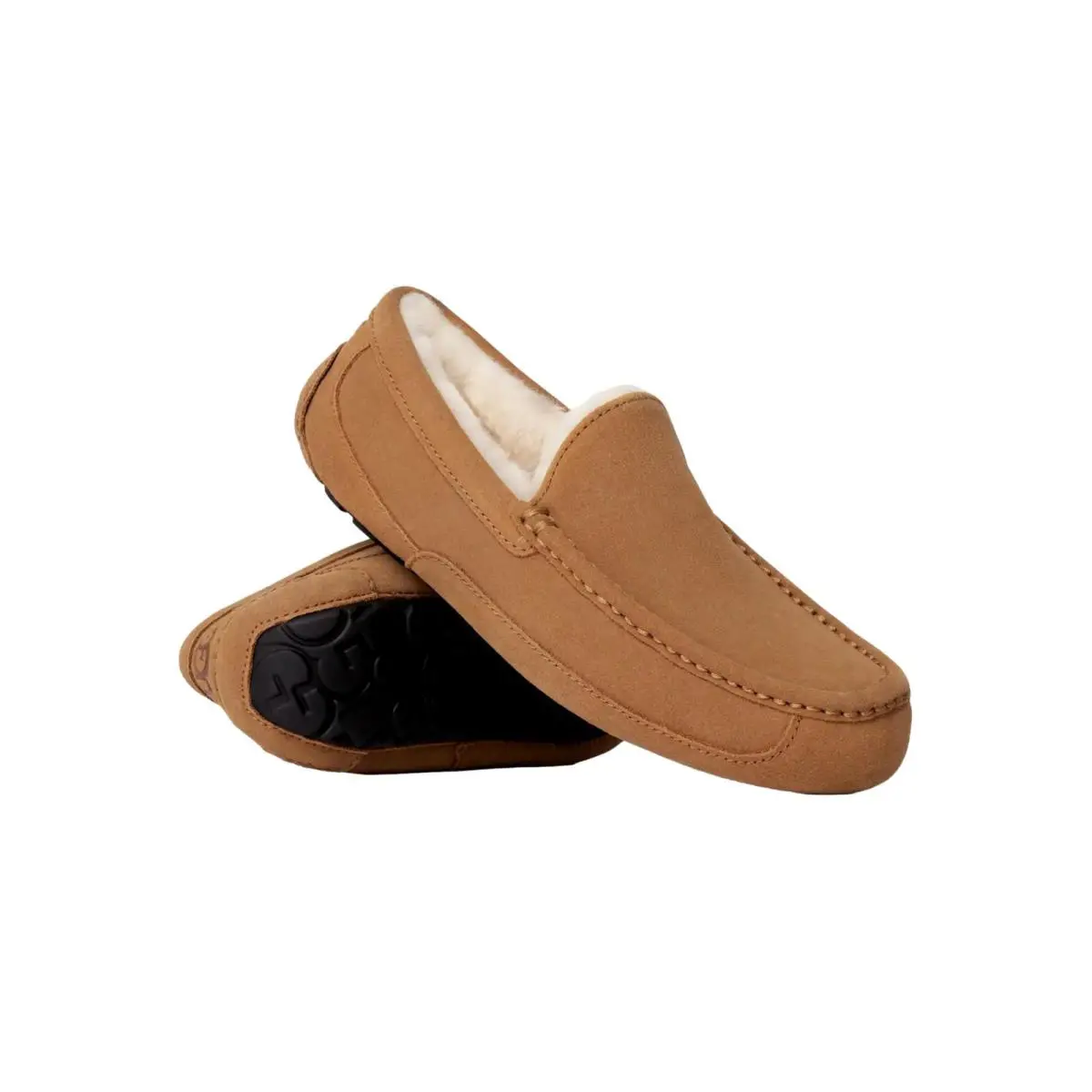UGG shoes - Ascot - Ascot - Multicolor 1