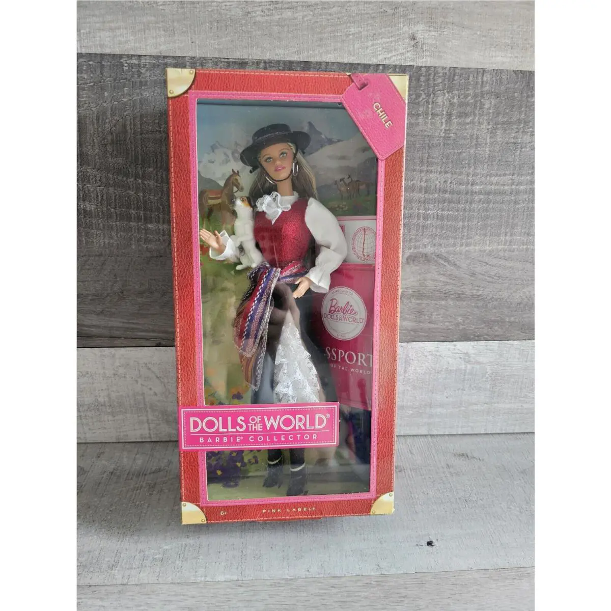2011 Dolls of The World Chile Barbie Doll Mattel W3494 Pink Label