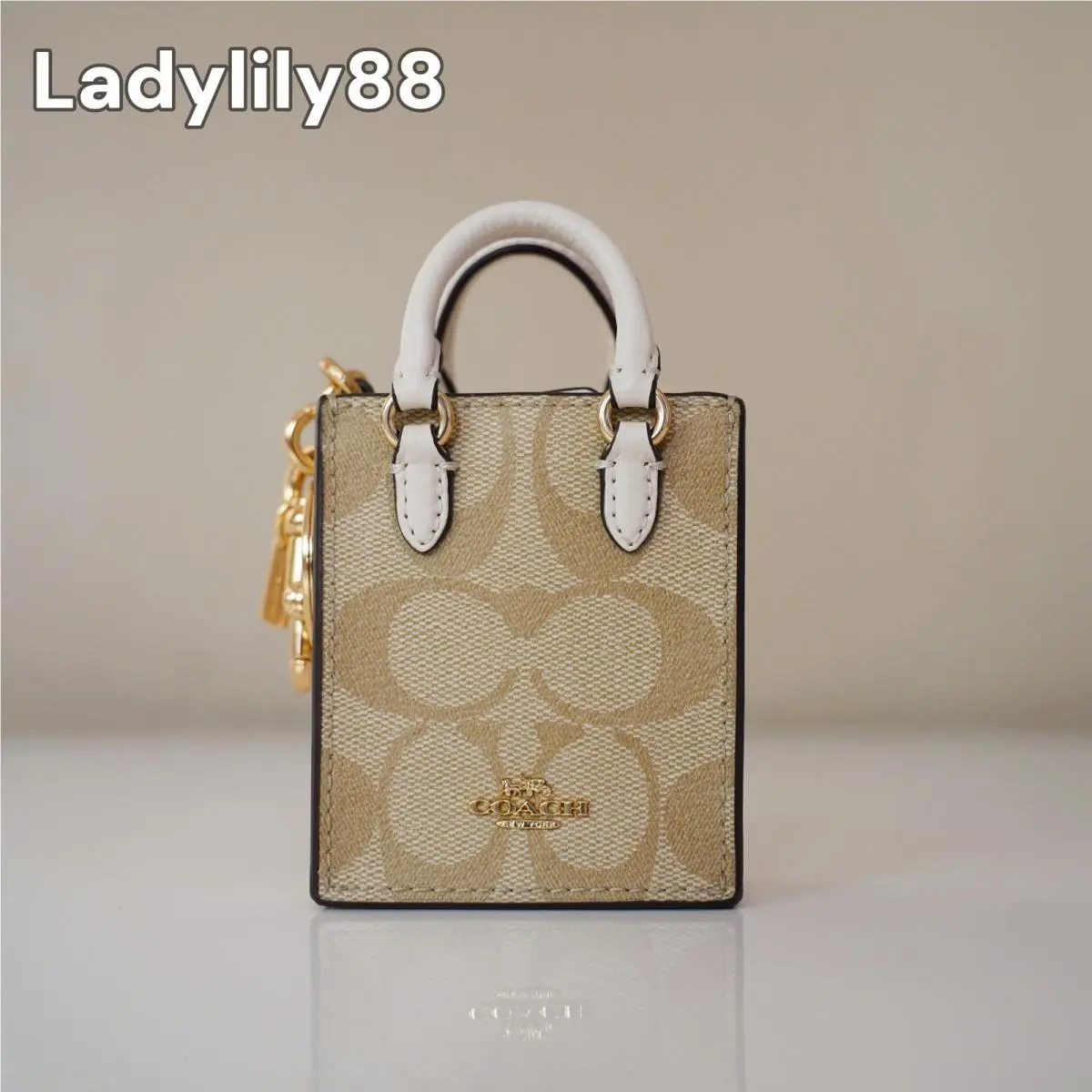 CU280 CU281 CX069 North/south Mini Tote Bag Charm In Signature Canvas CU281-IMDQC by Coach