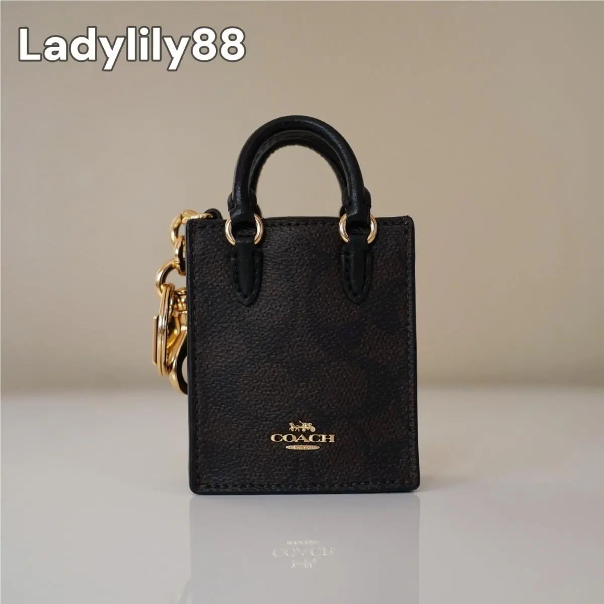 CU280 CU281 CX069 North/south Mini Tote Bag Charm In Signature Canvas CX069-IMXAQ by Coach