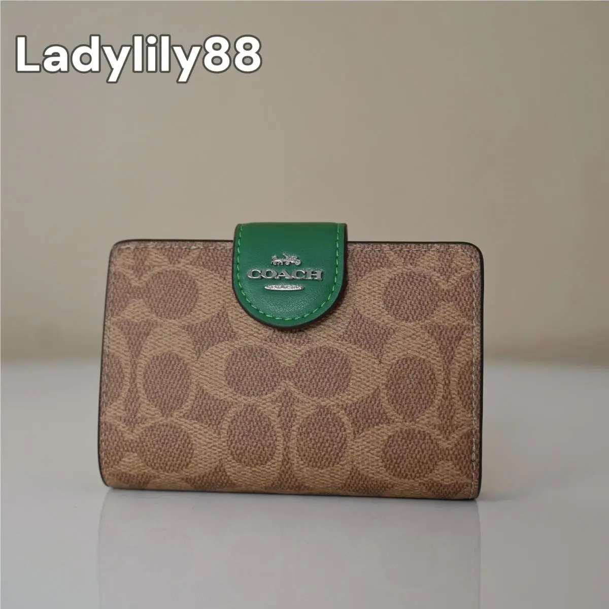 CW786 CAO99 CAP00 CBO30 CB031 Medium Corner Zip Wallet CW786 Silver/Tan/Shamrock by Coach